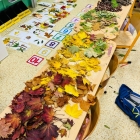 7bdcf246-006f-49fb-8758-1852a312e201