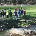 IMG_20190404_101438